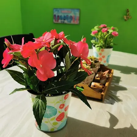Brisa De Mar 公寓